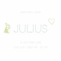Stencil geboortekaartje - Julius binnen