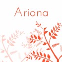 Strak geboortekaartje - Ariana voor