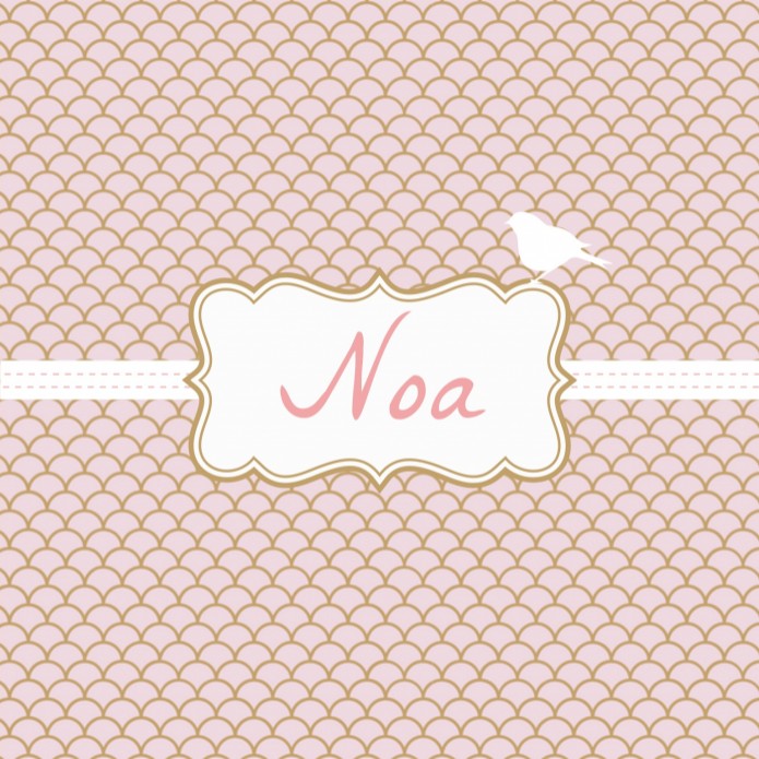 Lief geboortekaartje - Noa