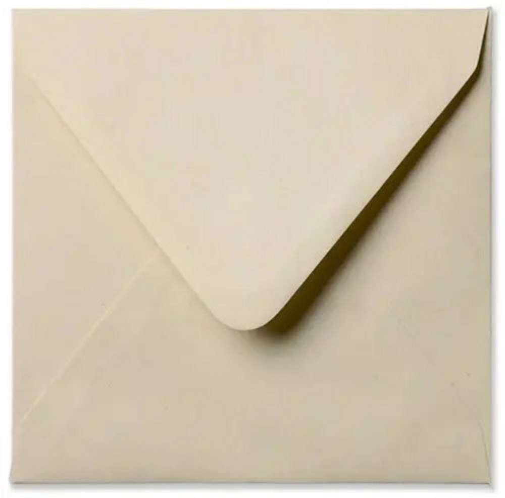 Envelop duurzaam paperwise - 14x14
