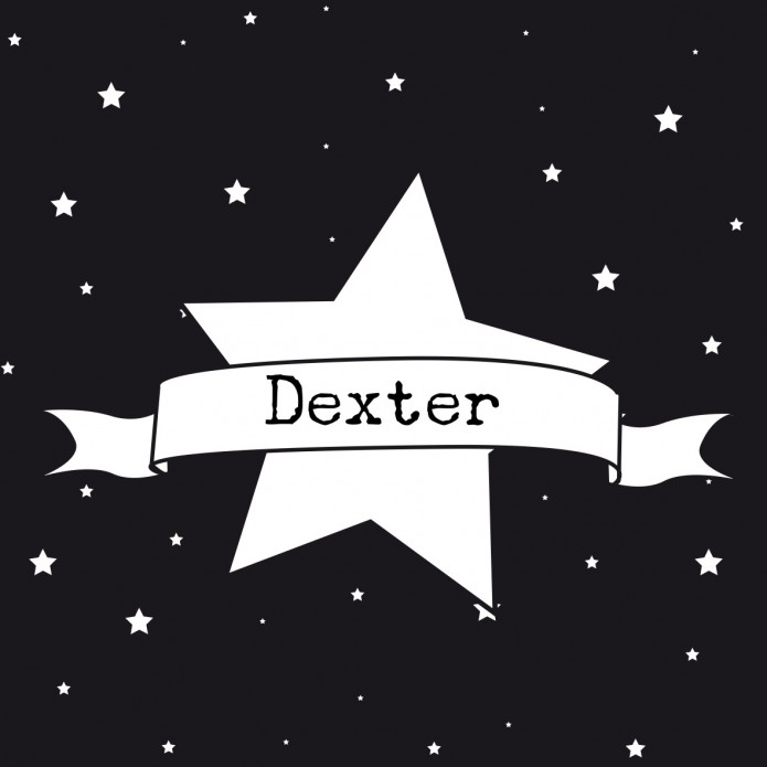 Geboortekaartje sterren - Dexter voor