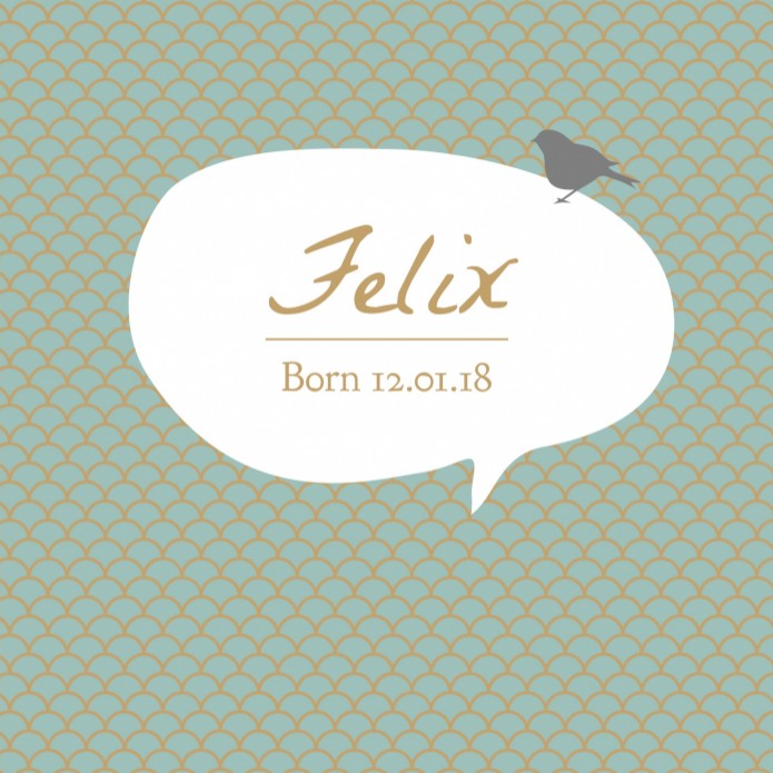 Hip geboortekaartje - Felix voor