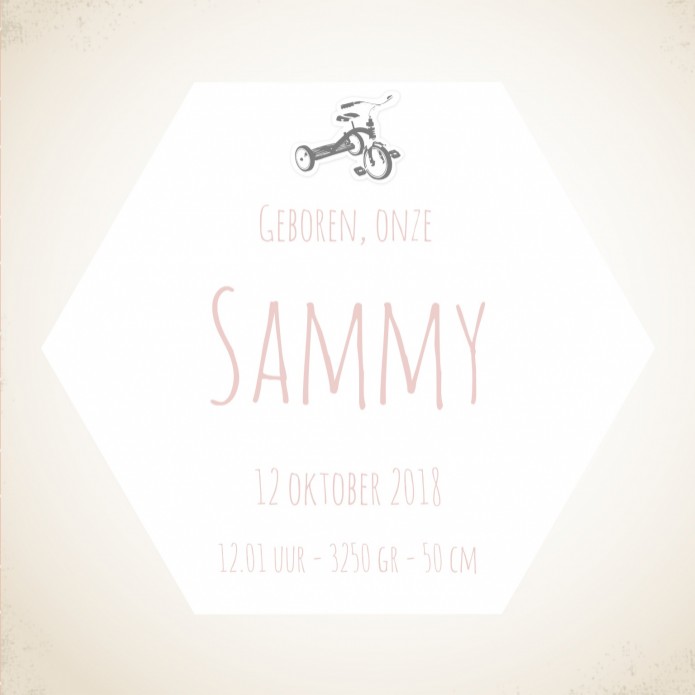 Stoer geboortekaartje - Sammy binnen