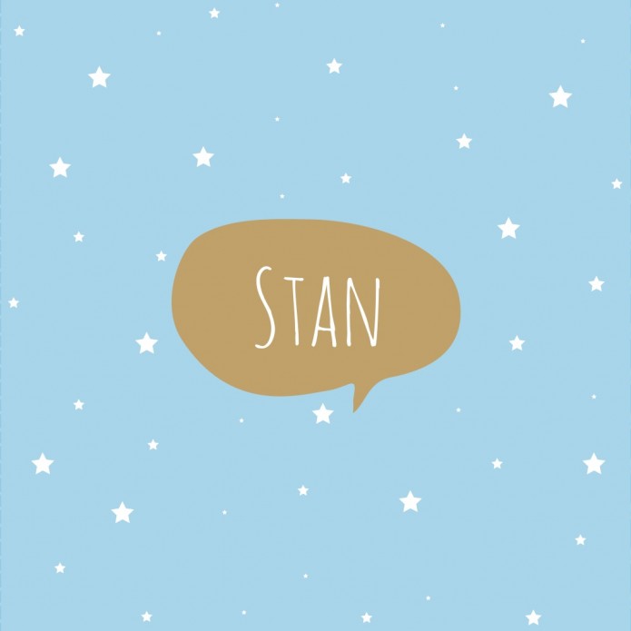 Vierluik geboortekaartje Stan voor