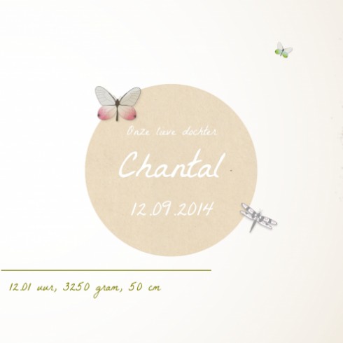Vintage geboortekaartje - Chantal binnen