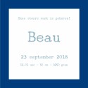 Geboortekaartje Beau voor