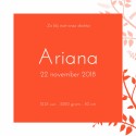 Strak geboortekaartje - Ariana binnen